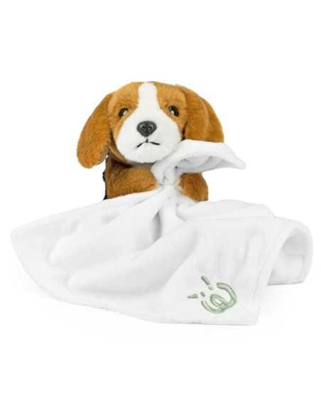 Peluche bébé beagle avec une couverture | Living Nature