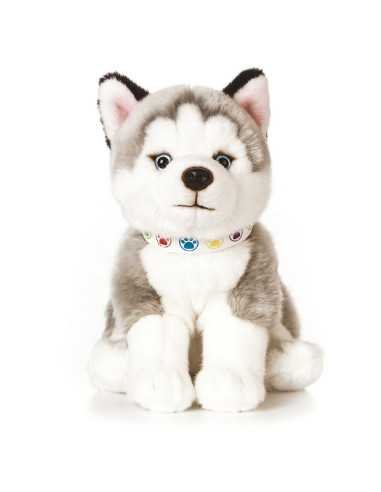 Peluche chiot Husky-25 cm | Living Nature