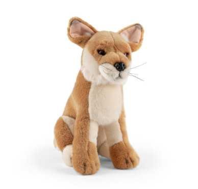 Peluche dingo online