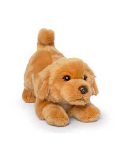 Peluche Golden Retriever-25 cm | Living Nature