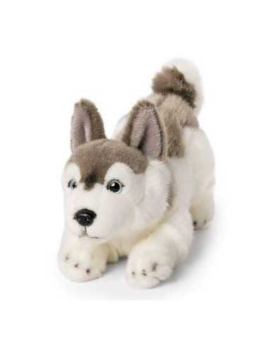 Peluche Husky-25cm | Living Nature